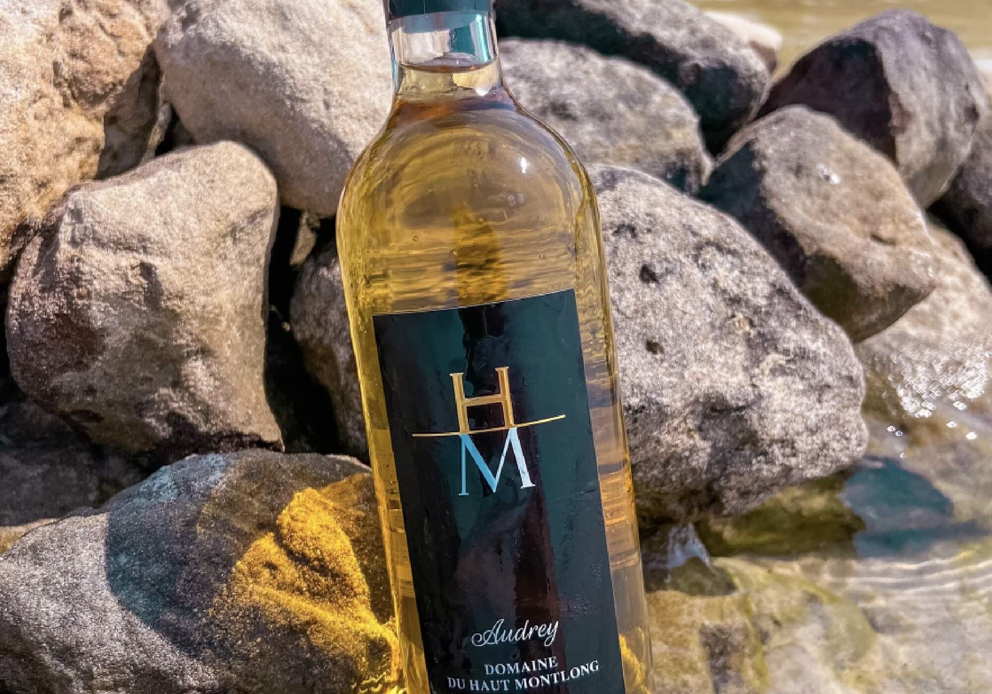 Reconnaître les Bouteilles de Vin par Leur Forme : Un Guide Pratique