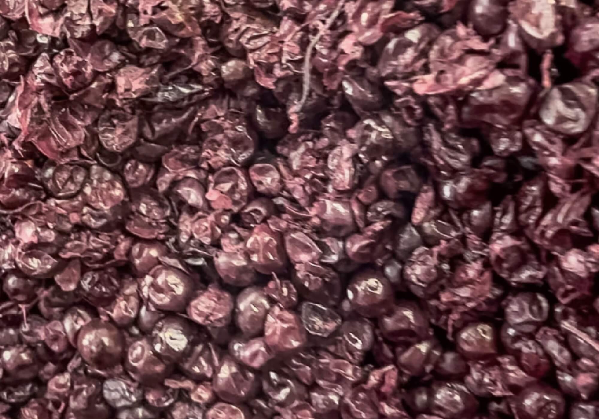 Comment Savoir si un Vin est de Bonne Qualité ?