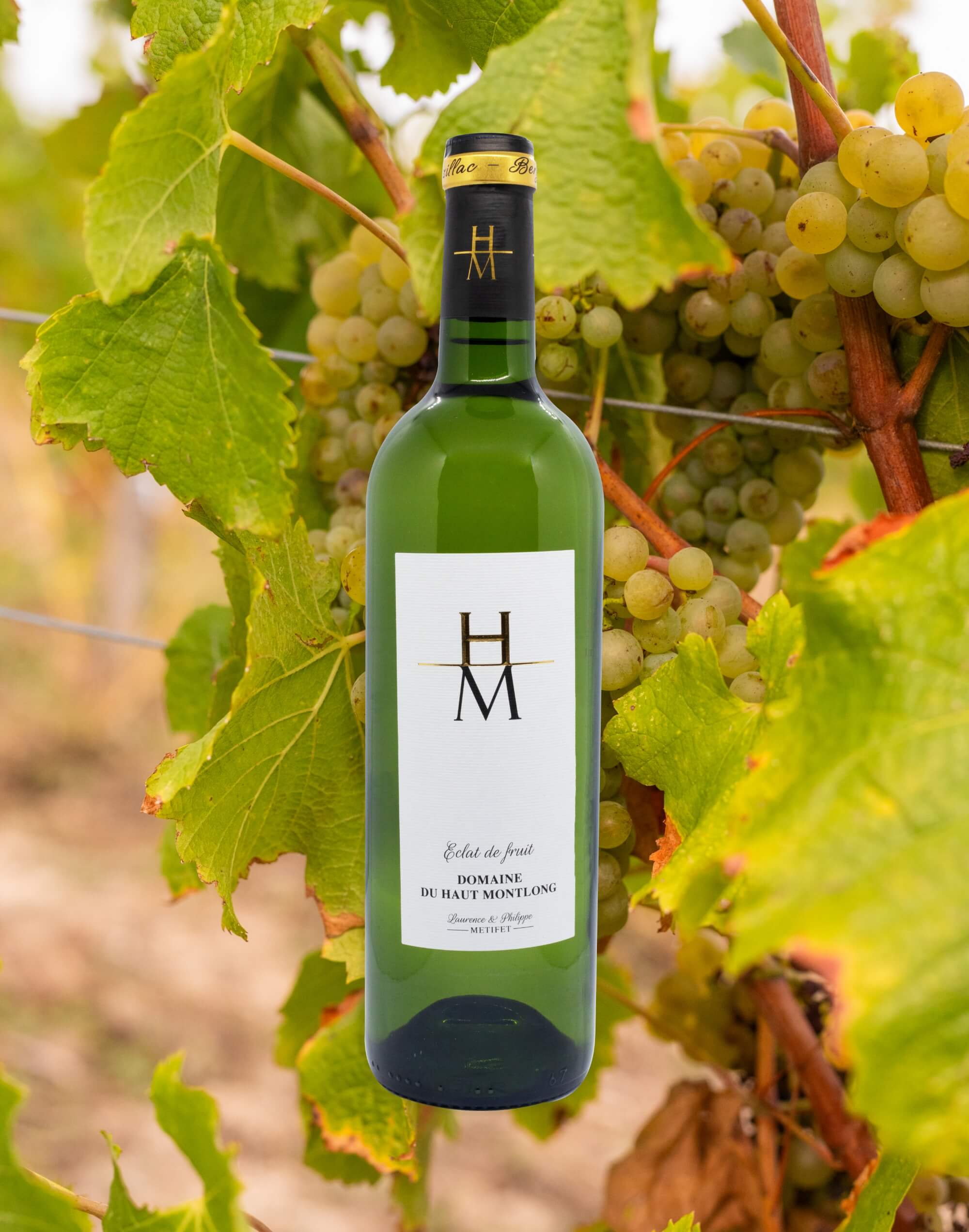 Éclat de Fruits 2024