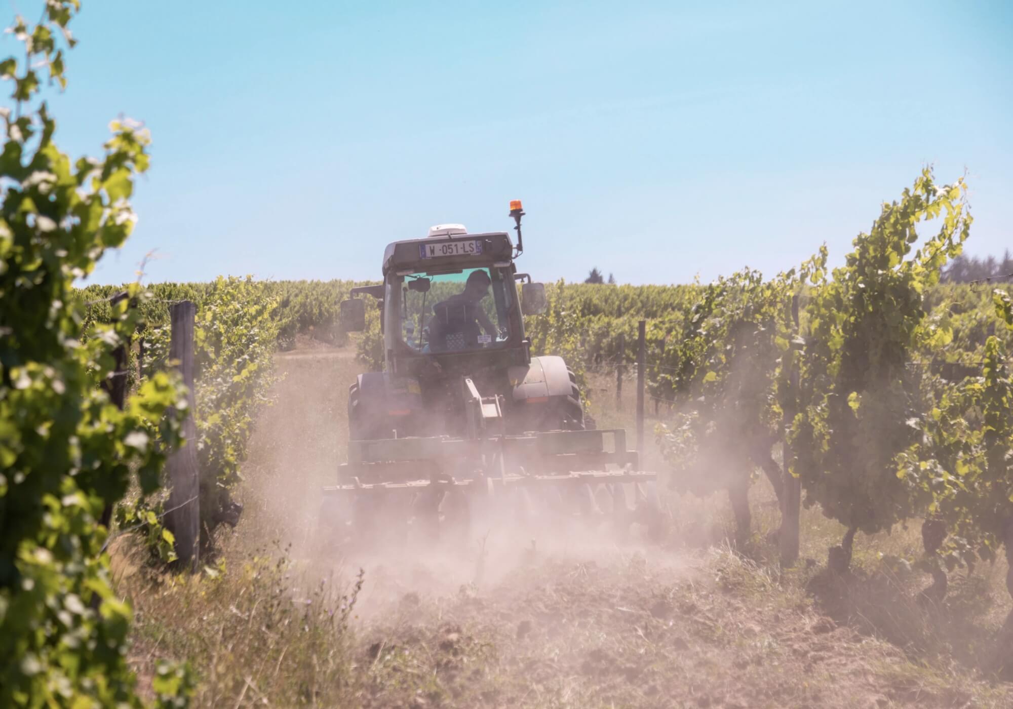 L’Art de l’Accord : Quel Vin du Domaine du Haut Montlong Choisir avec Vos Fromages