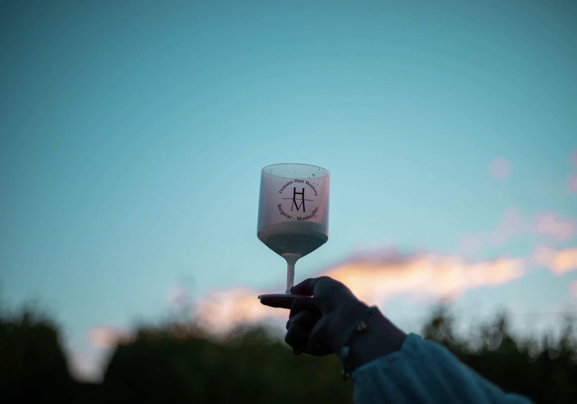 Associer le Vin avec les Viandes : Y a-t-il des Règles Générales ?