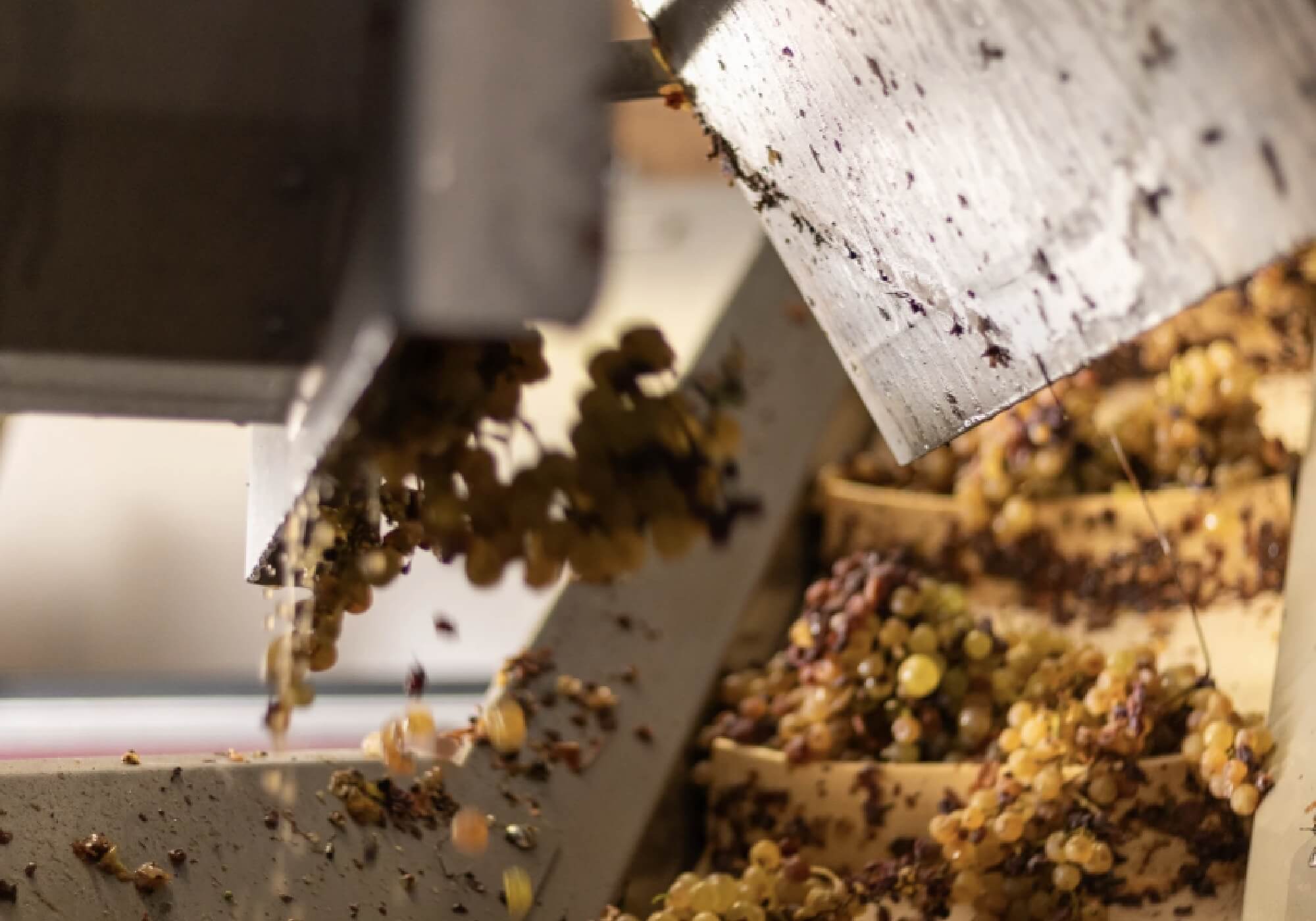 Pourquoi les vins sont-ils parfois bouchés ?