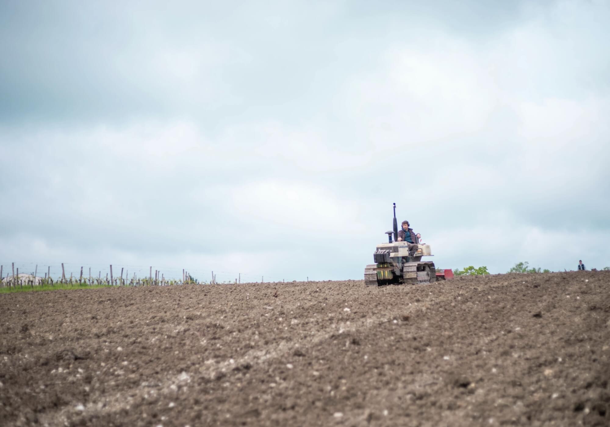 Le Processus de Certification Bio : Notre Engagement pour des Vins Plus Durables