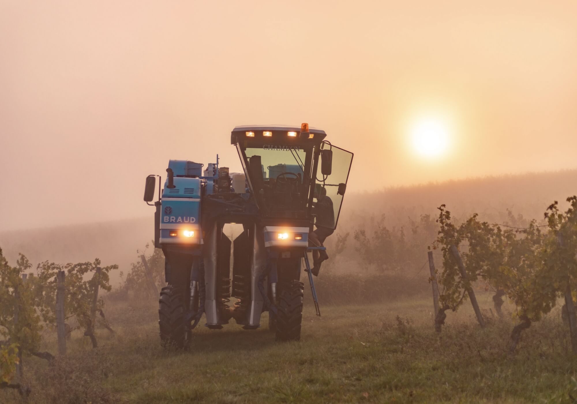 Comment les Sols du Domaine Haut Montlong Influencent Nos Vins