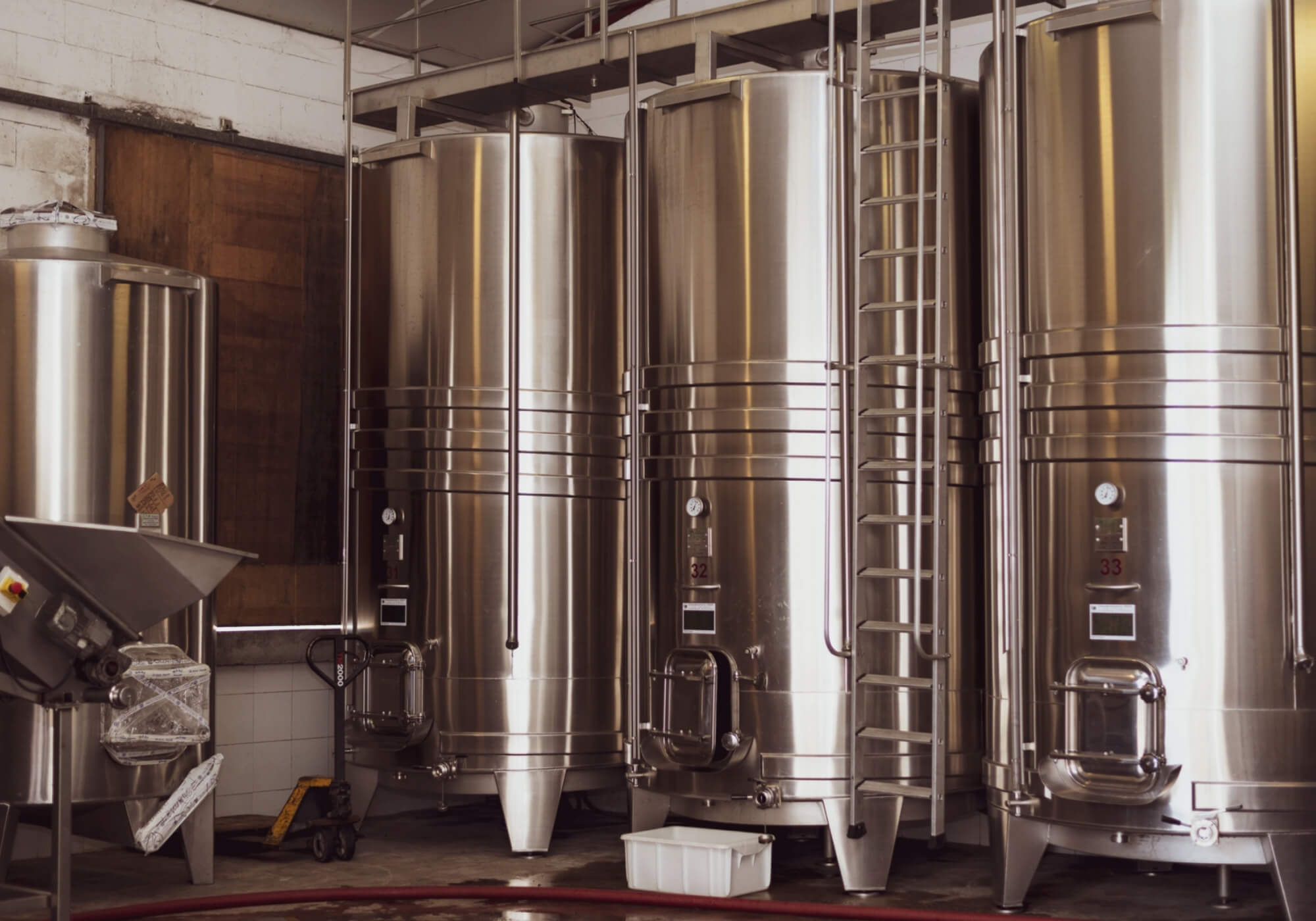 De la Vigne à la Bouteille : Comment le Jus de Raisin Devient Vin