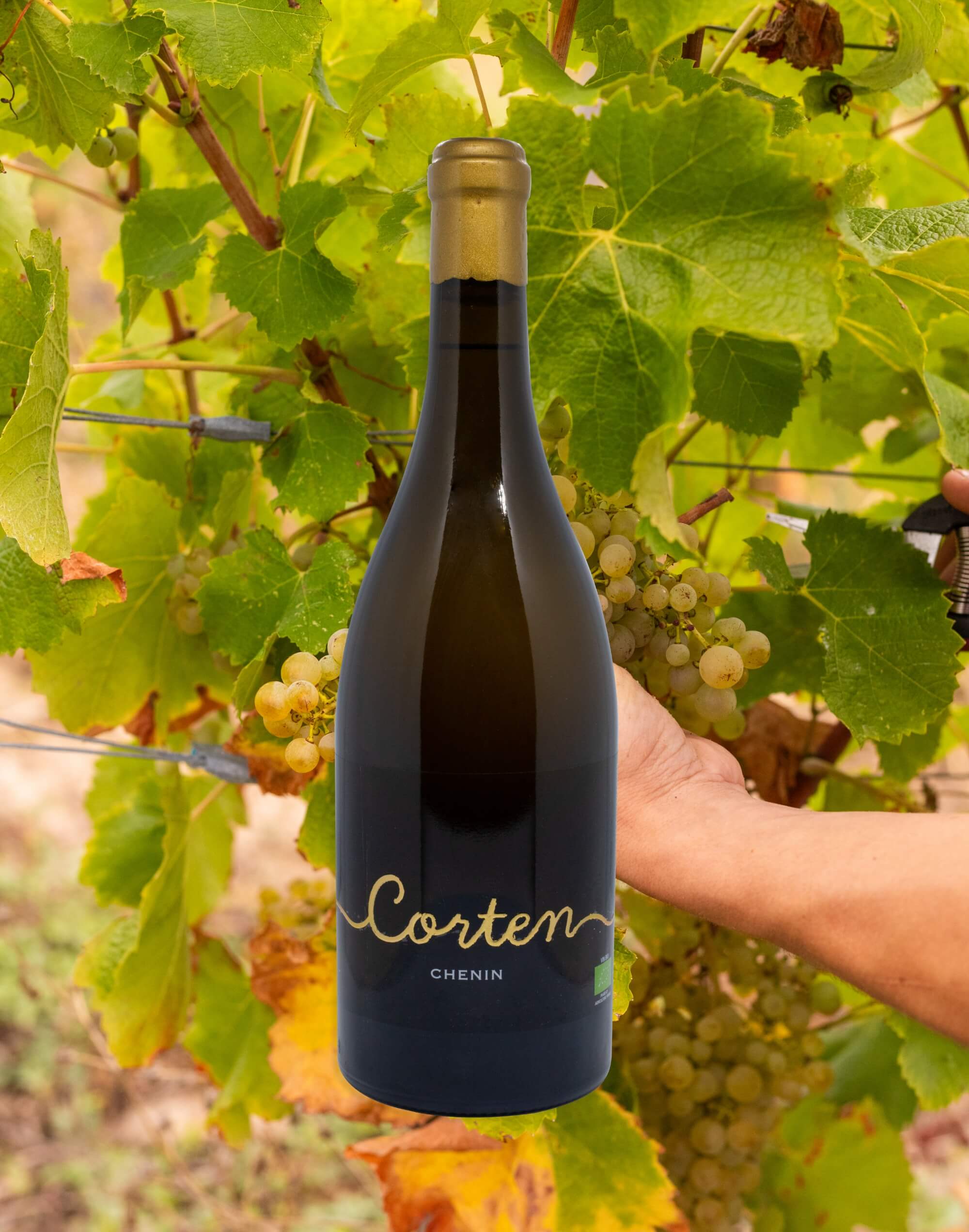 Corten chenin 2022